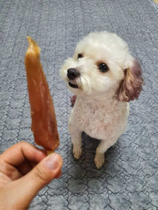 주여니이님이 올린 리뷰 사진 3