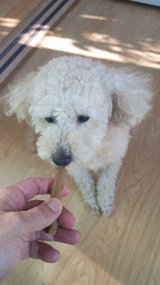 My Pet Care 천연단백질 치아건강에 개좋아 — 5점을 준 리뷰어가 2020년 11월 올린 사용 사진