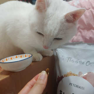 라온시연님이 올린 리뷰 사진 1