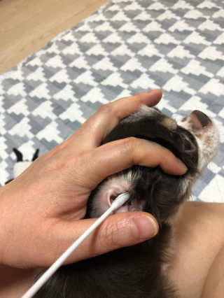 띠띠님이 올린 리뷰 사진 1