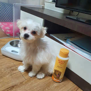 샤넬젤라님이 올린 리뷰 사진 1