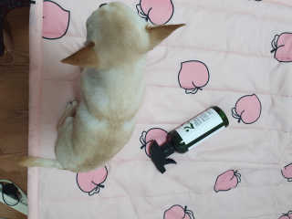 써니님이 올린 리뷰 사진 3