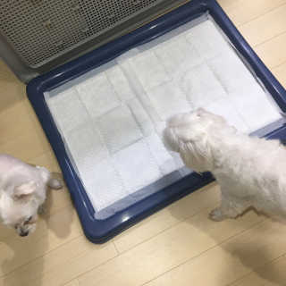 홍지윤님이 올린 리뷰 사진 3