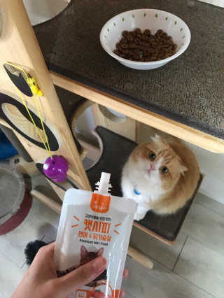 통통이네님이 올린 리뷰 사진 1