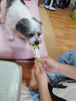 쏘고기님이 올린 리뷰 사진 2