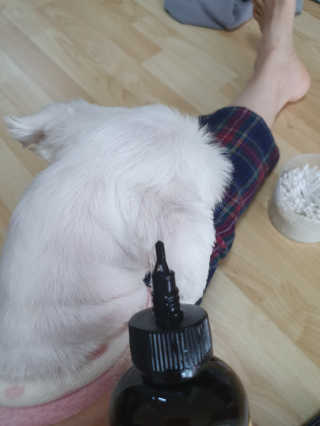 뿌꾸님이 올린 리뷰 사진 4