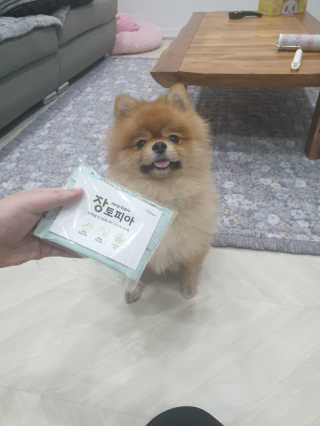 펫님닷컴 [장토피아]1일1스틱으로 간편한 반려동물 유산균 10ea — 5점을 준 리뷰어가 2020년 4월 올린 사용 사진