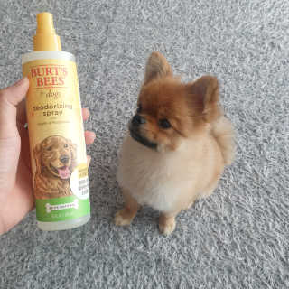 superfayeon님이 올린 리뷰 사진 3