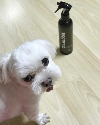 에그마요님이 올린 리뷰 사진 3