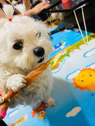 해바라기햇님님이 올린 리뷰 사진 3