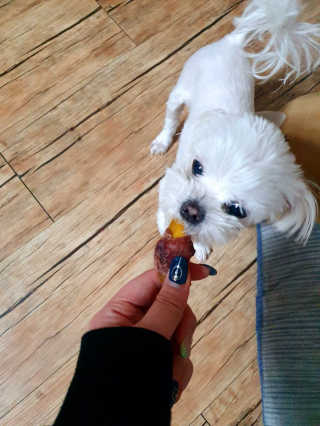 찡님이 올린 리뷰 사진 2