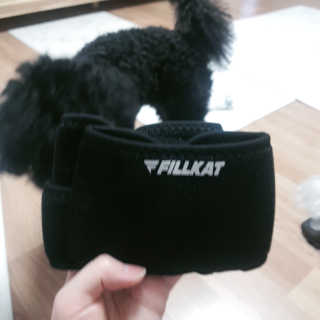 ❤꼬네우니🧡님이 올린 리뷰 사진 2