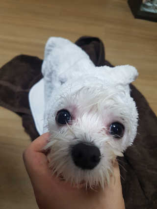 블링데코님이 올린 리뷰 사진 4