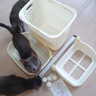 여온님이 올린 리뷰 사진 3