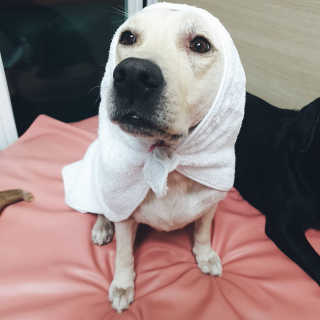 Lilly❤️님이 올린 리뷰 사진 3
