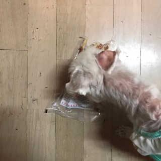 왕천재님이 올린 리뷰 사진 3