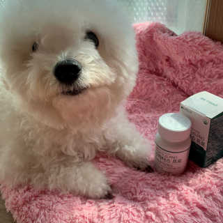 김지윤님이 올린 리뷰 사진 4