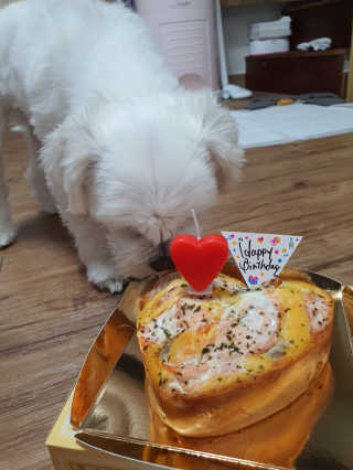 뽀오오옹님이 올린 리뷰 사진 1
