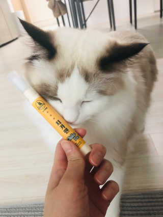 금동어멈님이 올린 리뷰 사진 3