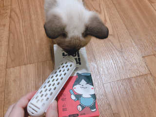 모닝스타님이 올린 리뷰 사진 4