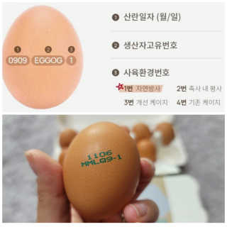 sdisksi님이 올린 리뷰 사진 4