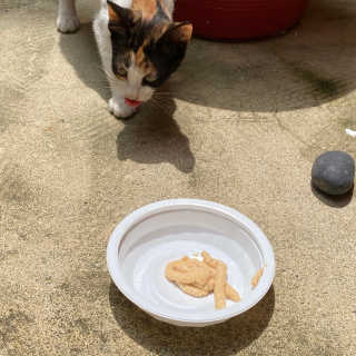 피츄카님이 올린 리뷰 사진 2