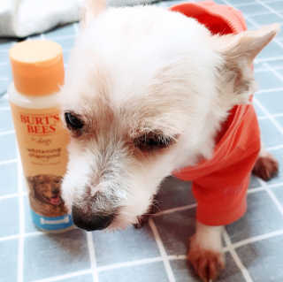 yuyuko님이 올린 리뷰 사진 3