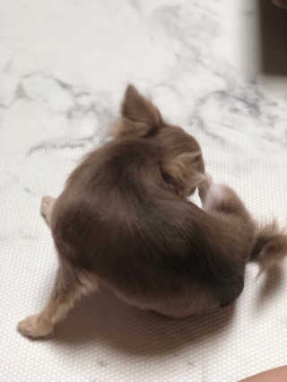 도토밤님이 올린 리뷰 사진 3