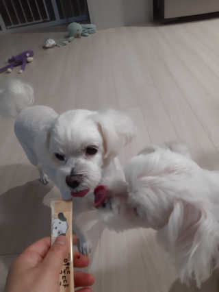 부산댁님이 올린 리뷰 사진 1