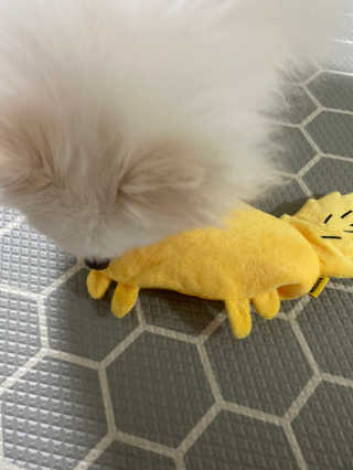 헝헝쓰님이 올린 리뷰 사진 3