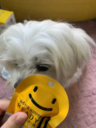 강아지아지아지님이 올린 리뷰 사진 2
