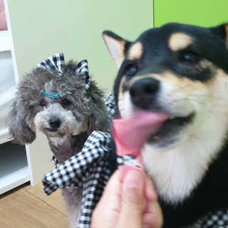 바니님이 올린 리뷰 사진 4