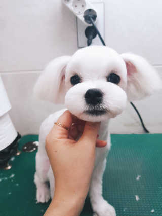 고마워유님이 올린 리뷰 사진 3