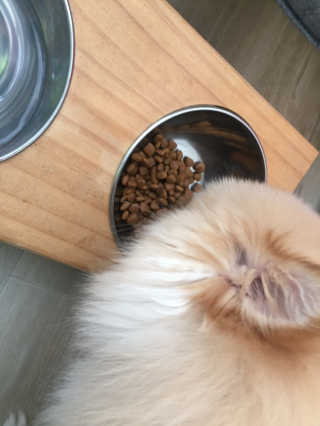 yoniyoni님이 올린 리뷰 사진 3