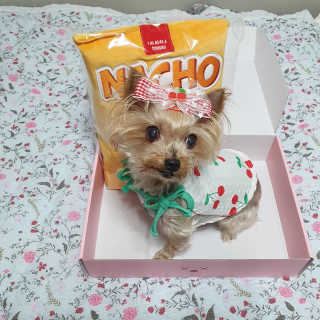 솜희님이 올린 리뷰 사진 1