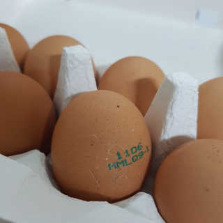 응디니님이 올린 리뷰 사진 3