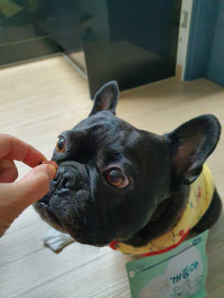 My Pet Care 천연단백질 눈건강에 개좋아 — 4점을 준 리뷰어가 2020년 11월 올린 사용 사진