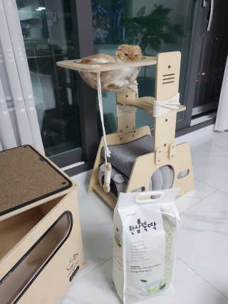라니라니님이 올린 리뷰 사진 1