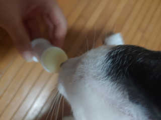 이누닷님이 올린 리뷰 사진 3