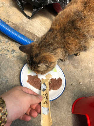 유영경님이 올린 리뷰 사진 3