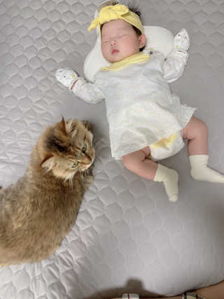 숭다님이 올린 리뷰 사진 1