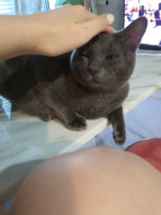 옹몽꽁맘님이 올린 리뷰 사진 3