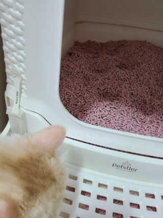 민경희님이 올린 리뷰 사진 3