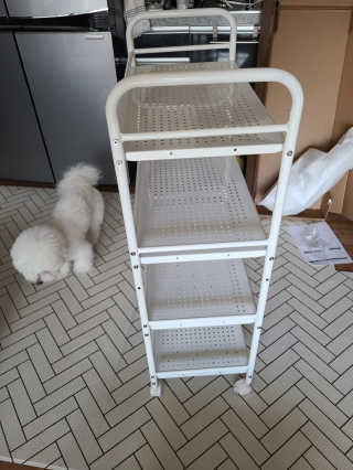 바다님이 올린 리뷰 사진 2