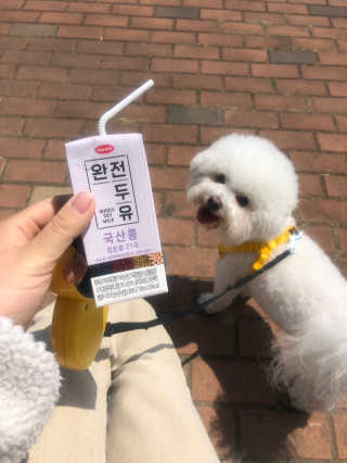 러비댕댕님이 올린 리뷰 사진 3
