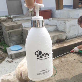 예민한 피부를 위한 코코몰리 All in one 자연유래 샴푸 — 5점을 준 리뷰어가 2020년 6월 올린 사용 사진