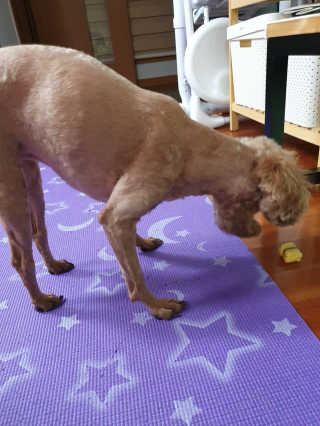 둥히님이 올린 리뷰 사진 4