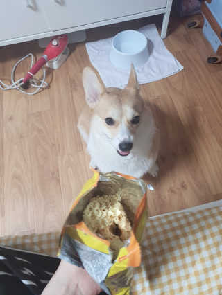 개똥이님이 올린 리뷰 사진 2