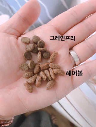 빈물딸기님이 올린 리뷰 사진 3