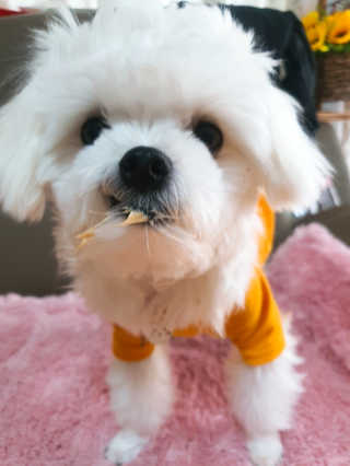 미진냥님이 올린 리뷰 사진 4